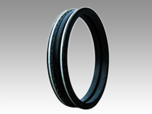 GJQ(X)-DF-II�����w���������z���^