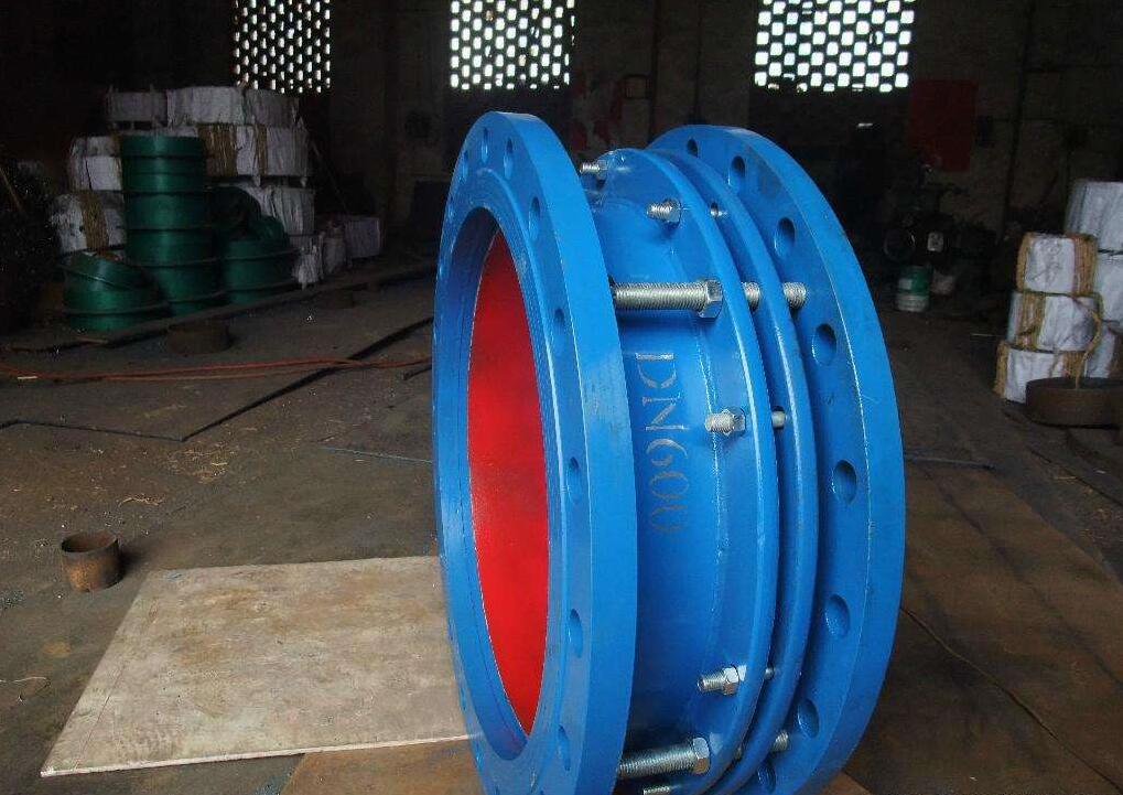 �F�������s��